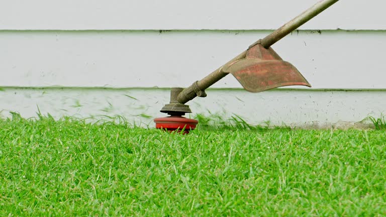 Best Tree and Shrub Care  in Clark Mills, NY